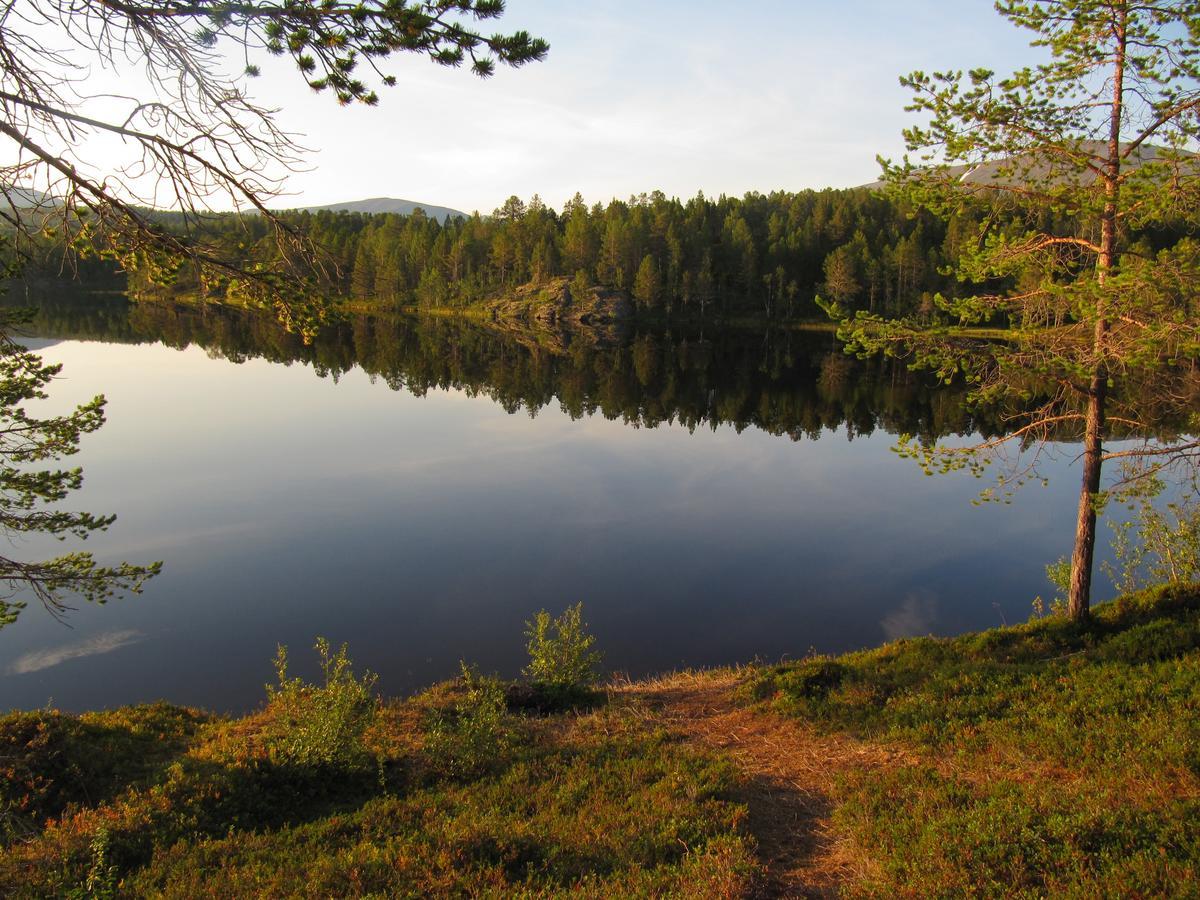 Malangen Lodge Mestervik Luaran gambar