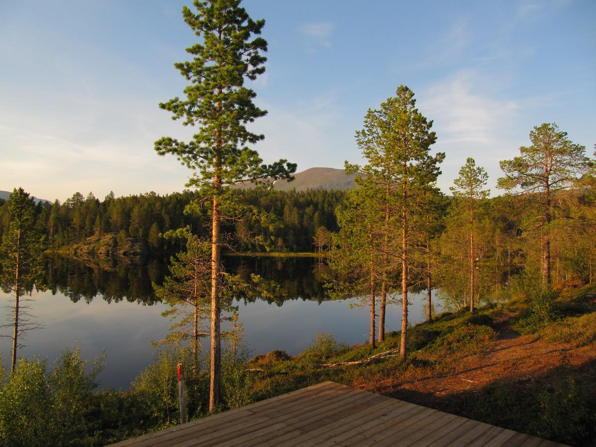 Malangen Lodge Mestervik Luaran gambar