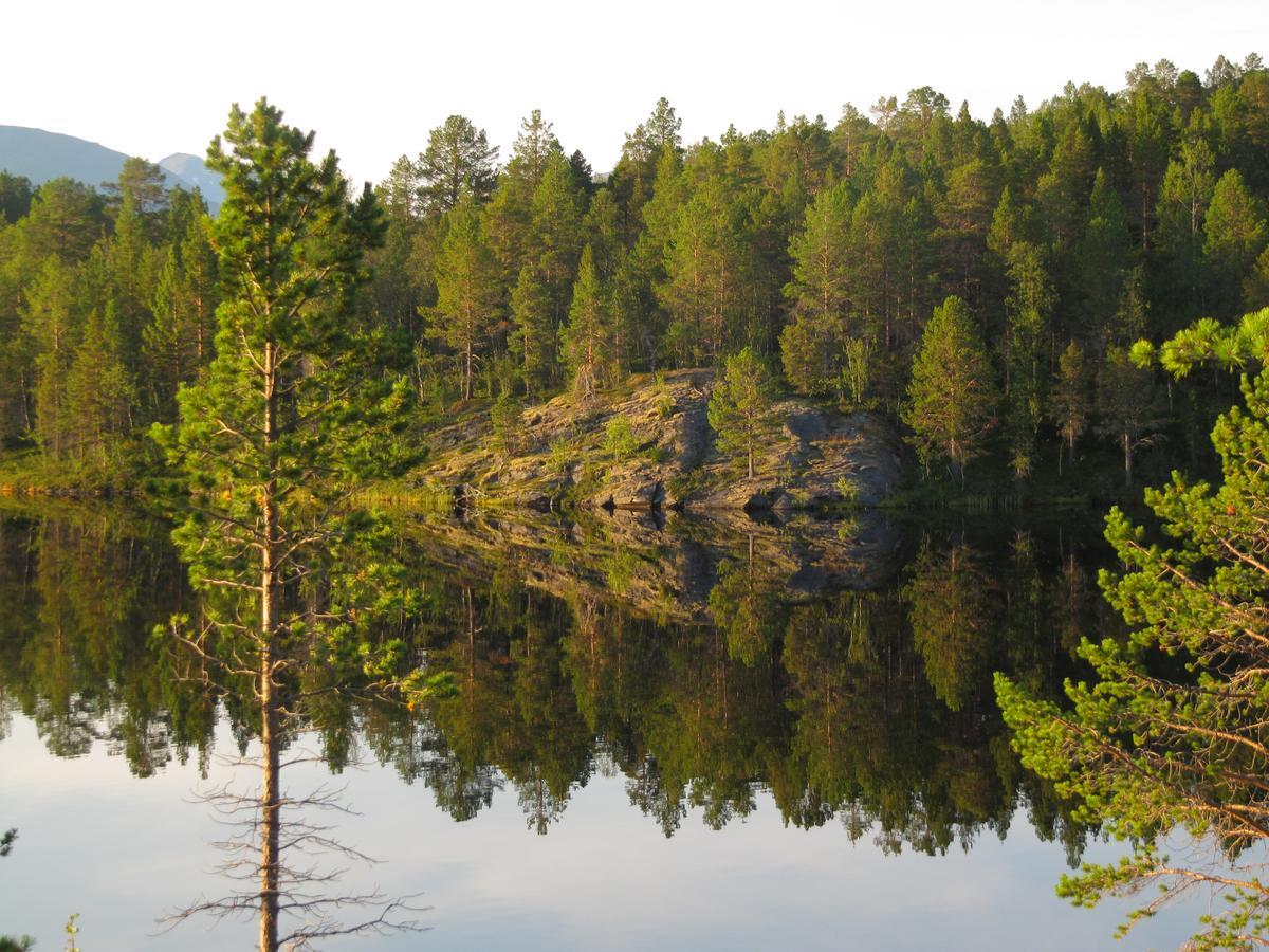 Malangen Lodge Mestervik Luaran gambar