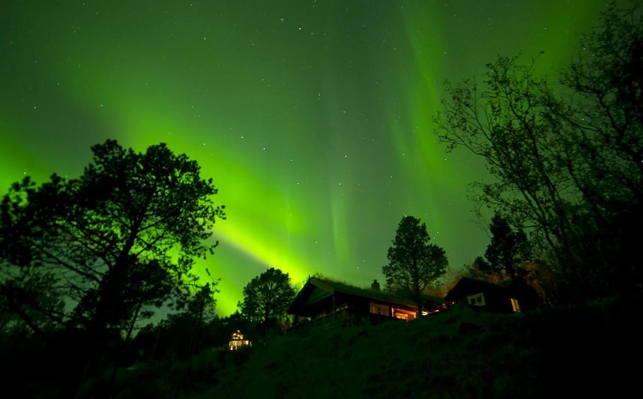 Malangen Lodge Mestervik Luaran gambar