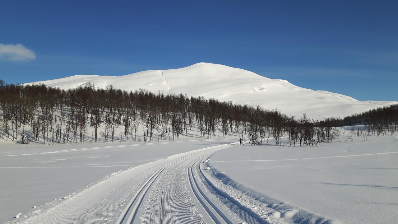 Malangen Lodge Mestervik Luaran gambar