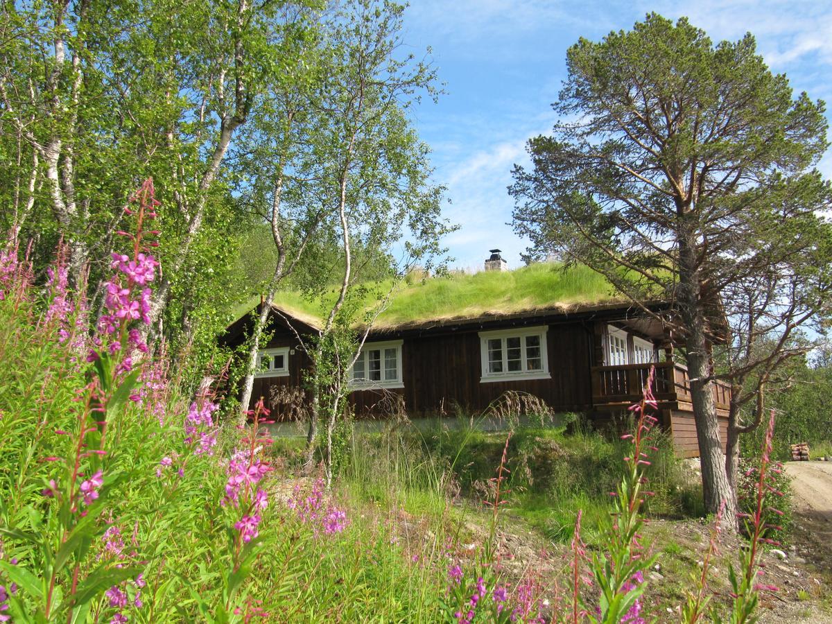 Malangen Lodge Mestervik Luaran gambar